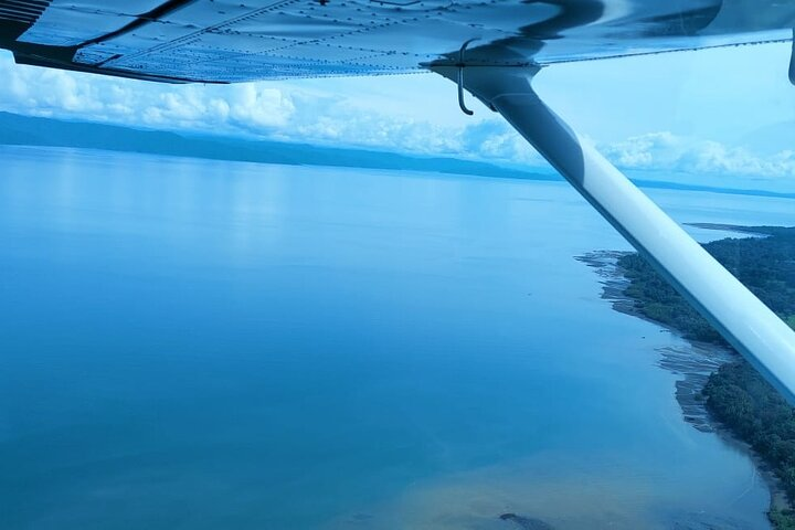 30-minute Corcovado National Park Tour by Plane - Photo 1 of 3